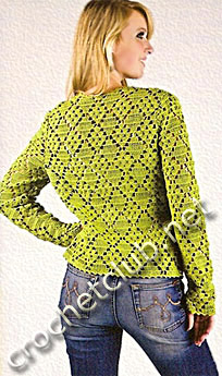 зеленый пуловер-спинка