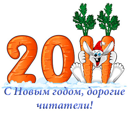 новый год 2011
